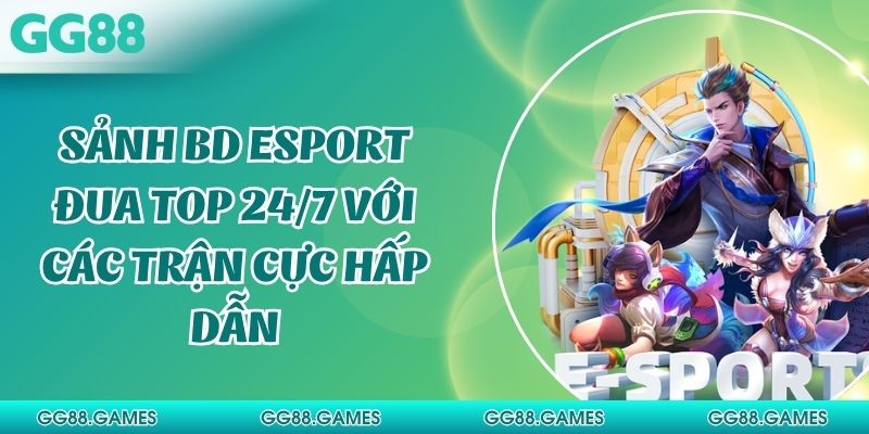 Sảnh BD Esport Đua Top 24/7 Với Các Trận Cực Hấp Dẫn